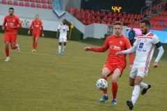 vuk1